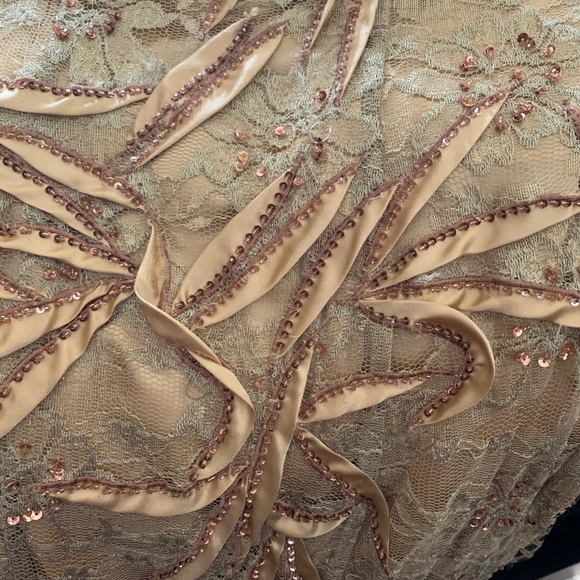 Formal gold lace size 0 dress - Picture 4 of 7